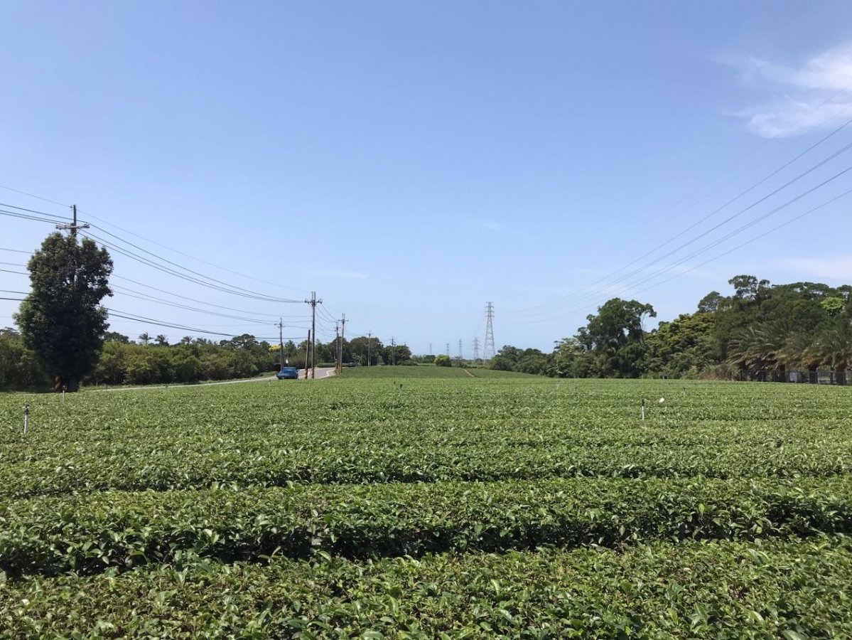 1744eb6e-eb63-4adb-9dd4-49515bd8bba0.jpg