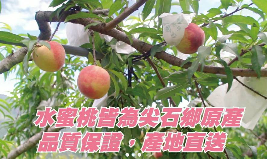 尖石鄉水蜜桃品質保證產地直送.jpg