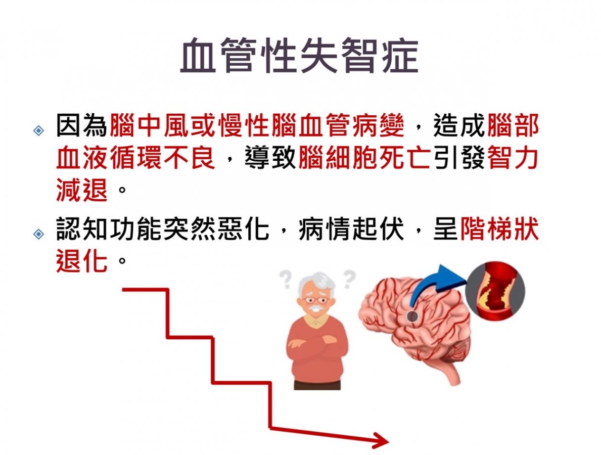 圖2血管性失智症2.jpg