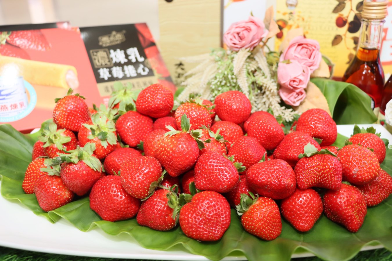 158d87f7-b757-491b-a25d-26d549fd7931.jpg